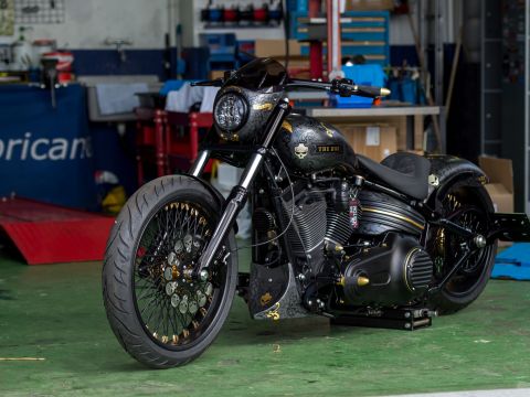 M&R Speedshop/King Kustom Bike — photo 4